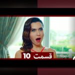 کشف راز سیب ممن: راهنمای جامع برای علاقهمندان سایت شرط بندی و بازیهای آنلاین